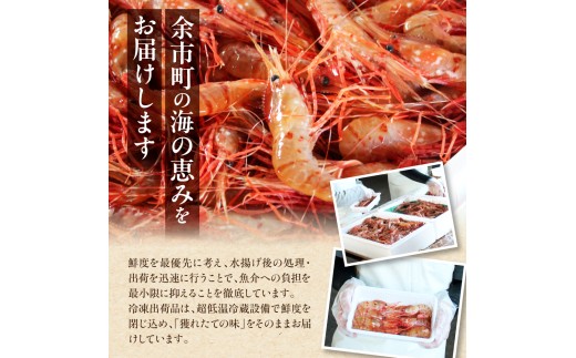 縲千佐繧後◆縺ヲ縺ョ蜻ウシ√代懊ち繝ウ繧ィ繝300g繝サ逕倥お繝300g繝サ繝懊う繝ォ繧キ繝」繧ウ300g 3遞ョ繧サ繝繝 迯イ繧後◆縺ヲ諤・騾溷キ蜃 蛹玲オキ驕謎ス吝クりソ第オキ 豬キ魄ョ 豬キ縺ョ蟷ク 雜菴取クゥ蜀キ蜃 魄ョ蠎ヲ謚懃セ、 蛻コ霄ォ逕ィ 鬟溘∋豈斐∋ 隧ー繧∝粋繧上○_Y022-0028