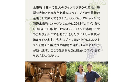 縲唇cciGabi Winery縲代♀繧ケ繧ケ繝。鮟偵Λ繝吶Ν繧キ繝ェ繝シ繧コシ疲悽繧サ繝繝医縲蝉ス吝クゅョ繝ッ繧、繝ウ縲 繝ッ繧、繝ウ 逋ス繝ッ繧、繝ウ 襍、繝ッ繧、繝ウ 莠コ豌励Ρ繧、繝ウ 繝ッ繧、繝ウ繧サ繝繝 菴吝クゅョ繝ッ繧、繝ウ 蛹玲オキ驕薙ョ繝ッ繧、繝ウ 譌・譛ャ縺ョ繝ッ繧、繝ウ 蝗ス逕」繝ッ繧、繝ウ _Y012-0114