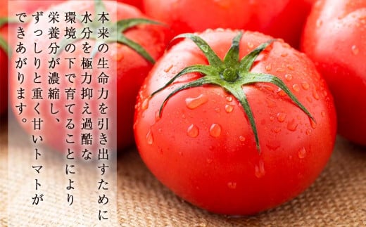 こだわりトマトジュース 〜凜花〜 3本セット＜吉川農園＞