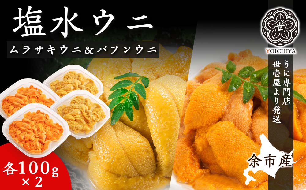 余市産 塩水ウニ ムラサキウニ バフンウニ 各0g 22年夏 うに専門店 世壱屋より発送 Jalふるさと納税 Jalのマイルがたまるふるさと納税サイト