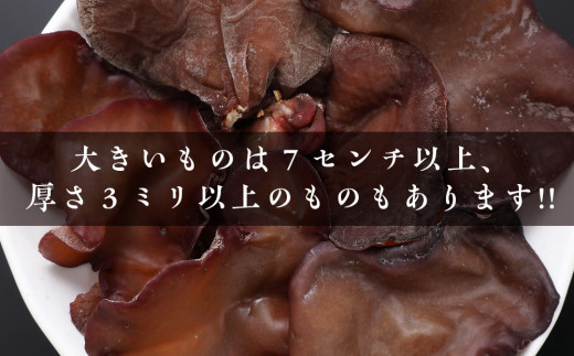 余市の美味しい水で育てた！生きくらげ(100g×4)＜日本きくらげ余市ファーム＞