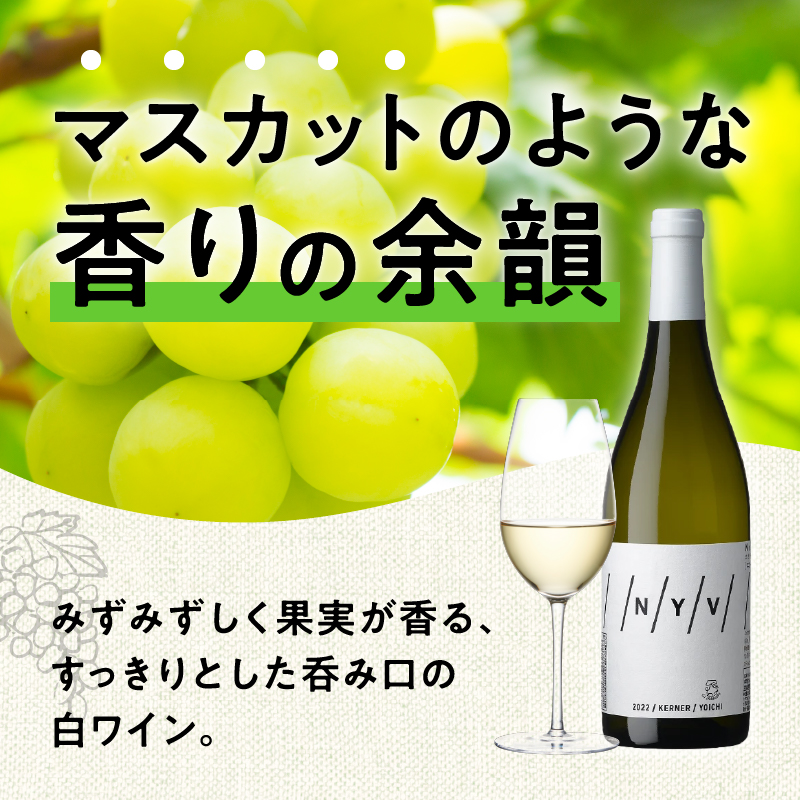 【ふるさと納税】 数量限定 ＆ 北海道限定 N・Y・V （エヌ・ワイ・ブイ） 余市ケルナー 2022 白ワイン 辛口 ニッカ余市ヴィンヤード  ワイン  贈り物  ギフト  プレゼント _Y090-0014