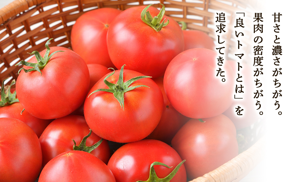 【定期便 6回】 中野ファームのトマトジュース 180ml 合計60本(10本×6回) 食塩無添加 添加物不使用 100% 北海道