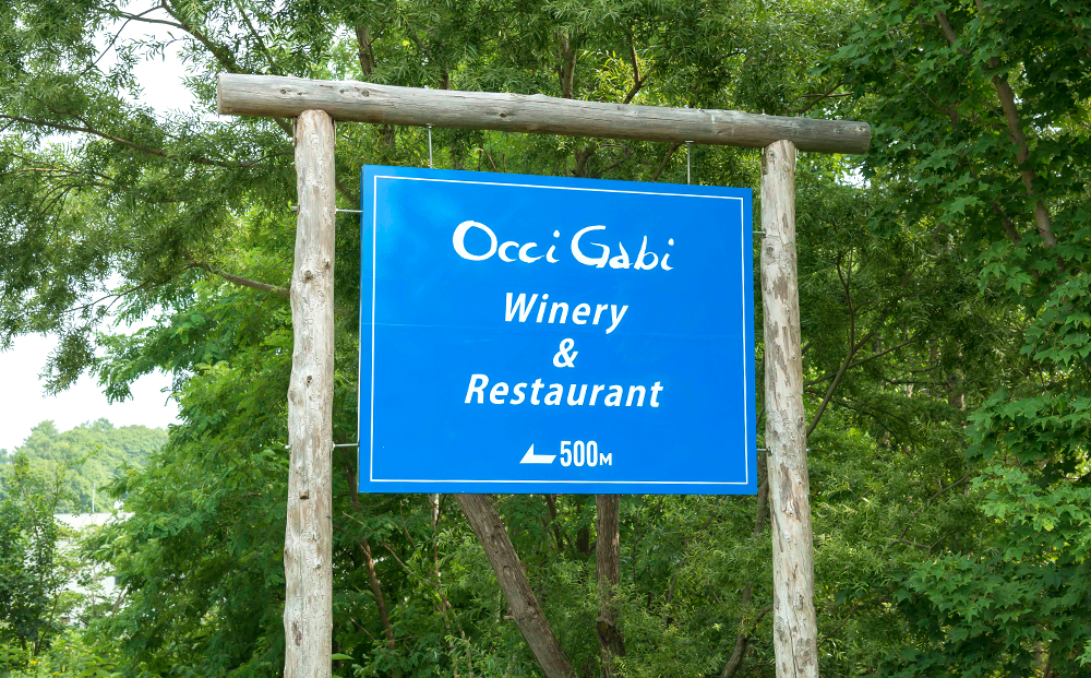 【OcciGabi Winery】おススメ黒ラベルシリーズ６本セット 【余市のワイン】 ワイン 紅白ワイン 赤白ワイン 赤ワイン 白ワイン 黒ラベルワイン ワイン6本 人気ワイン 北海道のワイン 国産ワイン 北海道 余市町_Y012-0098