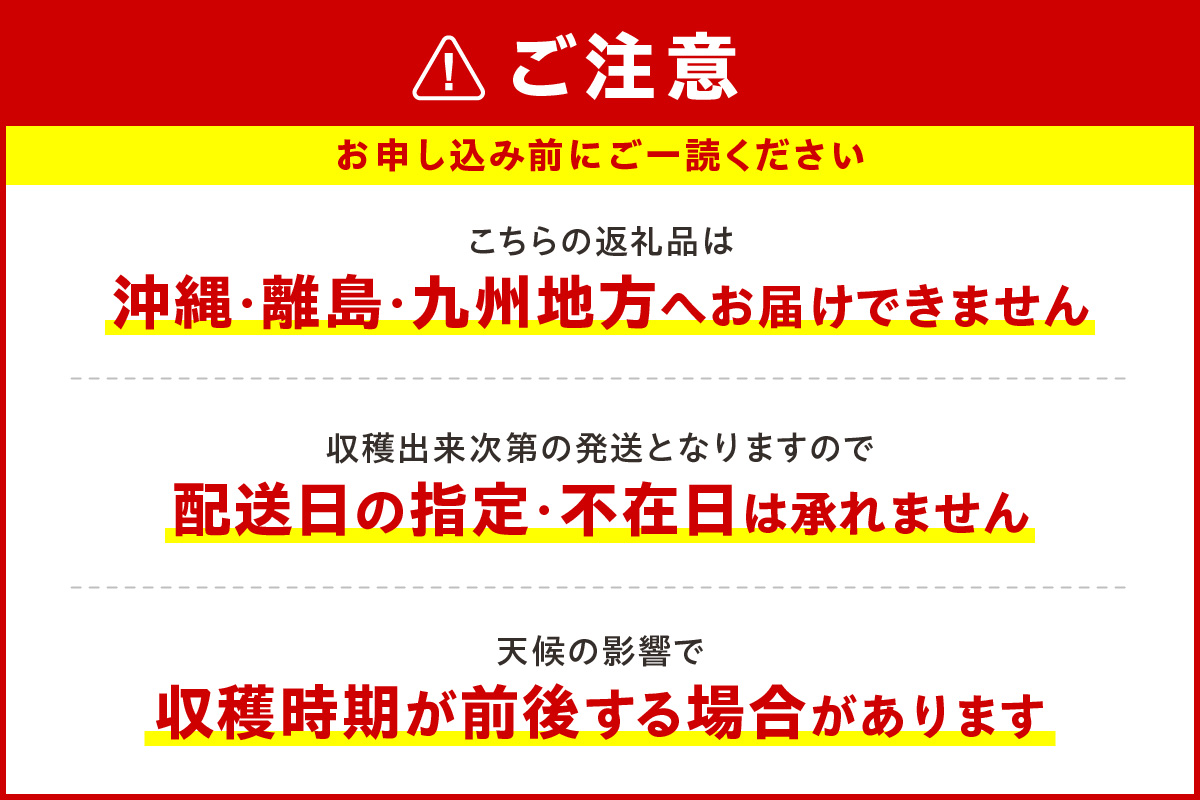 【2026年7月下旬頃より発送】青果ブルーベリーおまかせ1種1kg（500g×2パック）＜アイケイファーム余市＞_Y111-0009