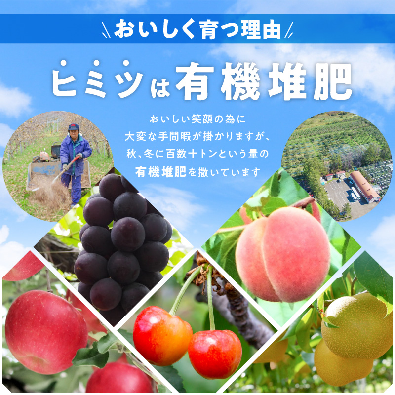 【ニトリ観光果樹園が贈るフルーツ王国定期便！】豪華！！旬のフルーツ4回発送コース_Y074-0016