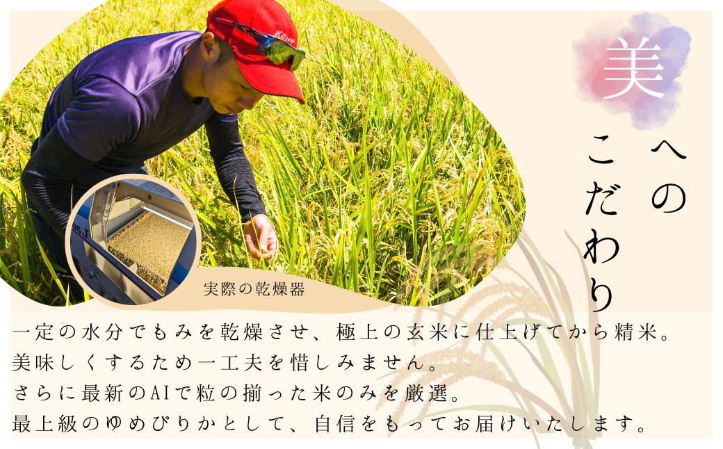 令和6年産 新米 余市産ゆめぴりか定期便(隔月配送) 余市産 ゆめぴりか 精米 合計10kg(5kg×2ヶ月)[ふるさとクリエイト]_Y067-0001