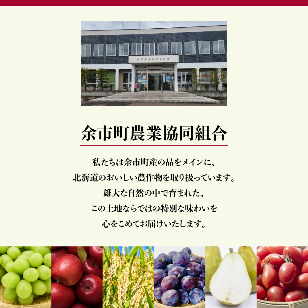 【令和6年産先行受付 2024年10月以降発送】（無洗米6Kg）ホクレンゆめぴりか 米 特A ホクレン 北海道産 ごはん ブランド 北海道米 無洗米 白米 チャック付き袋 甘い 炊き込みご飯 卵かけごはん 手巻き寿司 _Y010-0196