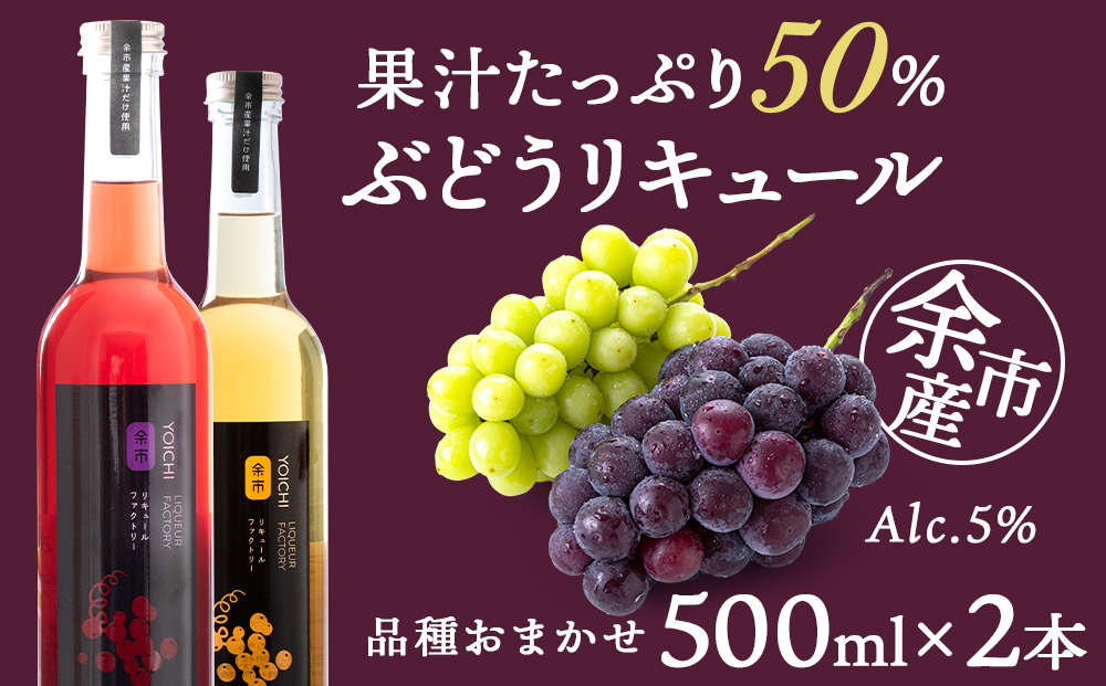 ぶどうリキュール2本【品種おまかせ】フルーツリキュール フルーツ お酒 100％リキュール ぶどうリキュール 果物リキュール くだもの リキュールセット ギフト 北海道リキュール 余市リキュールファクトリー_Y020-0609