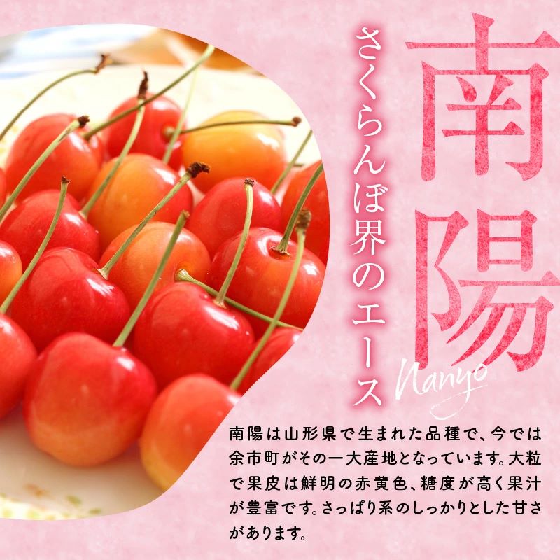 2026年発送【先行予約】令和8年産 南陽【3Lサイズ】500g×2【ニトリ観光果樹園】余市 北海道 フルーツ王国 さくらんぼ サクランボ 桜桃 南陽 余市産さくらんぼ 人気さくらんぼ ニトリ_Y074-0142