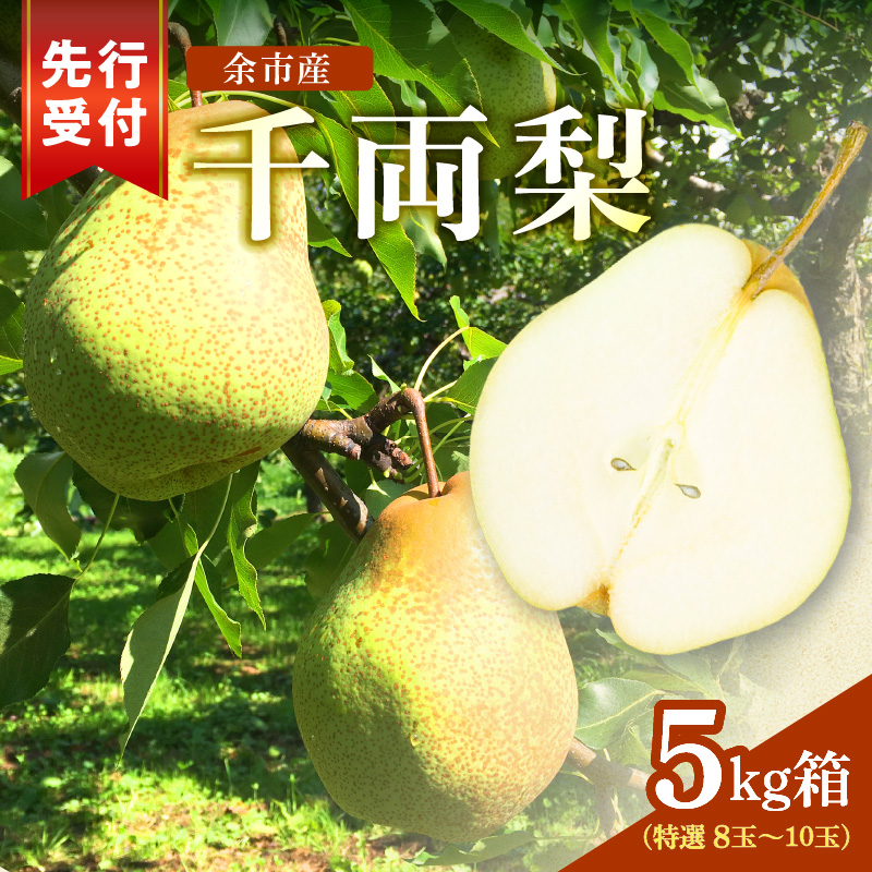 ã2026幎9æäžæ¬ä»¥éçºéãå䞡梚 5kgç®±(10ç)åæµ·éç£ äœåžçºç£ãã·ã£ãã·ã£ããšãã飿ãšãµãããªãšããçã¿ãç¹åŸŽ å£ç¯éå® å䞡梚 å£ç¯ã®å³èŠ 5kg ç®± 梚 ã»ãŒäœåžçºã§ããçç£ãããŠããªã æç© ãã«ãŒã èŽãç© ã®ãã ãã«ãŒãã®ãã ãåãå¯ã åæµ·é äœåžçºç£ éæç¡æ_Y015-0036