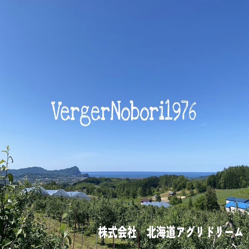 【先行予約2025年7月より発送】＜北海道余市産＞さくらんぼ「紅秀峰」（M～2Lサイズバラ詰め）500g×2パック_Y103-0021