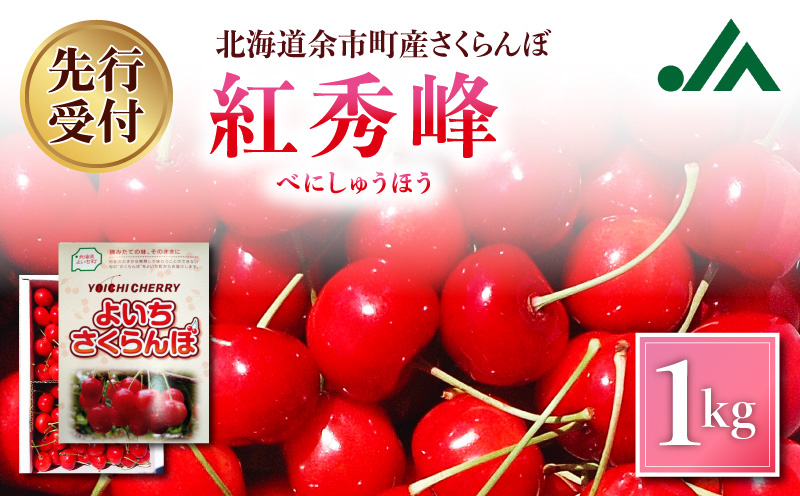 【先行受付：2026年7月中旬以降発送分】さくらんぼ (紅秀峰) 1kg 北海道 余市町産 果肉が硬く酸味の少ない濃厚な味 先行受付 フルーツ 果物 果実 国産 バラ詰め チェリー 美味しい 旬の味 お取り寄せ 北海道 余市町_Y010-0657