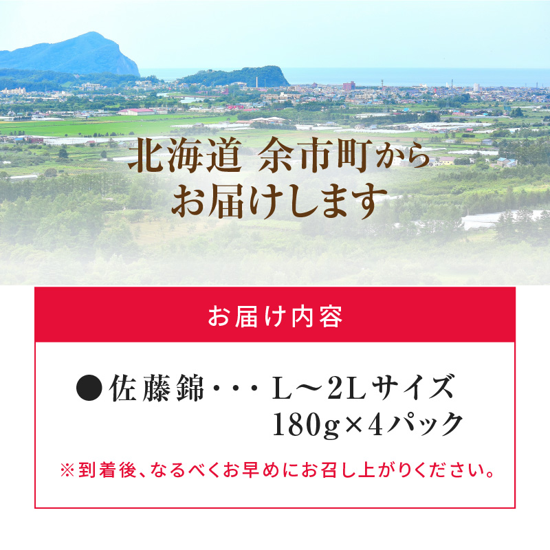 2026年発送【先行予約】令和8年産 佐藤錦【L～2Lバラ詰め】180g×4【ニトリ観光果樹園】さくらんぼの王様 余市 北海道 フルーツ王国 さくらんぼ サクランボ 桜桃 佐藤錦 余市産さくらんぼ 人気さくらんぼ ニトリ _Y074-0136