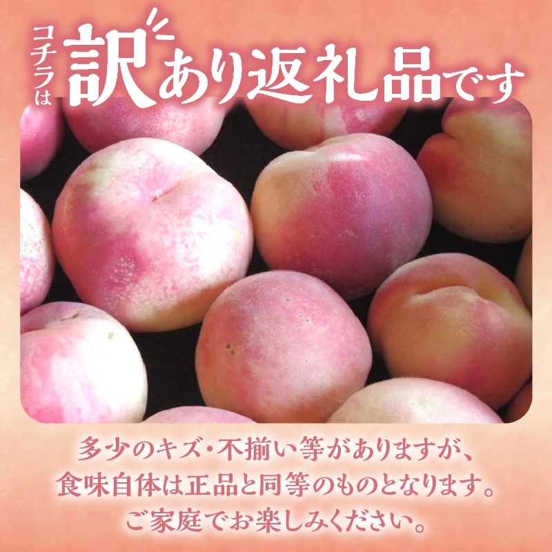 ãå
è¡äºçŽïŒ2026幎8æäžæ¬ä»¥éçºéããã«ãŒãçåœäœåžç£ãæ¡ãèŠæ Œå€å3kgããããªèгå
ææš¹åã_Y074-0148