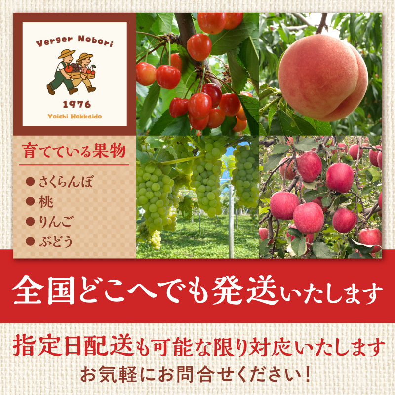 ã2026å¹Žç£ å
è¡äºçŽãïŒåæµ·éäœåžç£ïŒãããããŒãçŽ
ãŠãŸããïŒMïœ2Lãµã€ãºãã©è©°ãïŒ500ïœÃ2ããã¯_Y103-0057