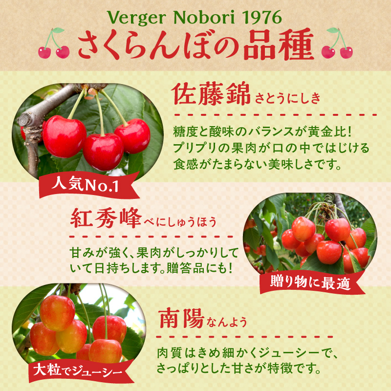 ã2026å¹Žç£ å
è¡äºçŽãïŒåæµ·éäœåžç£ïŒãããããŒãçŽ
ãŠãŸããïŒMïœ2Lãµã€ãºãã©è©°ãïŒ500ïœÃ2ããã¯_Y103-0057