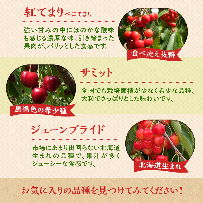 ã2026å¹Žç£ å
è¡äºçŽãïŒåæµ·éäœåžç£ïŒãããããŒãçŽ
ãŠãŸããïŒMïœ2Lãµã€ãºãã©è©°ãïŒ500ïœÃ2ããã¯_Y103-0057