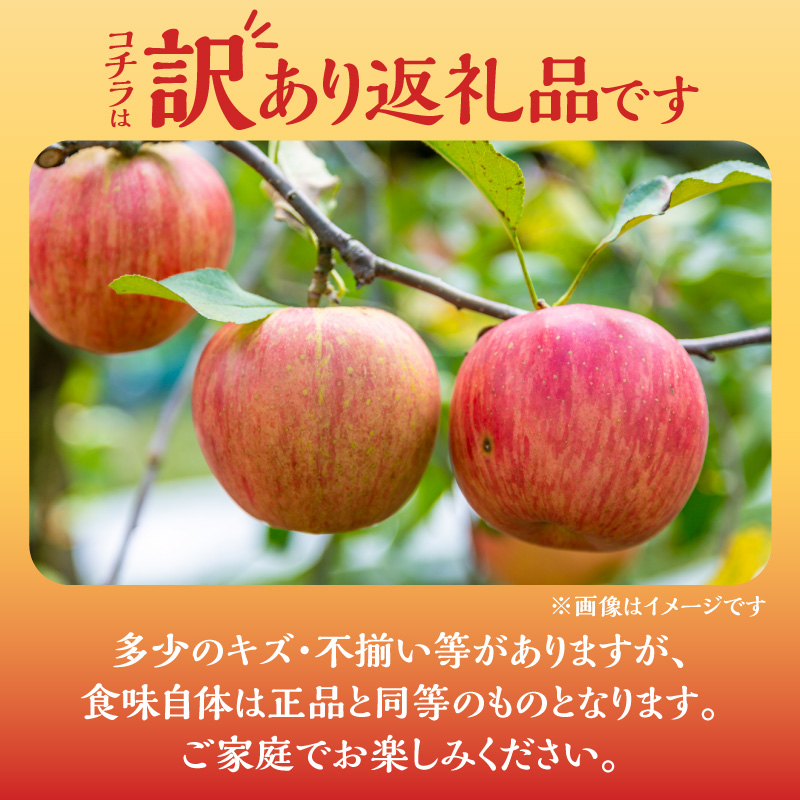 ã2025幎11æäžæ¬ããçºéããã«ãŒãçåœäœåžç£èš³ããããµãã5kgããããªèгå
ææš¹åã_Y074-0154