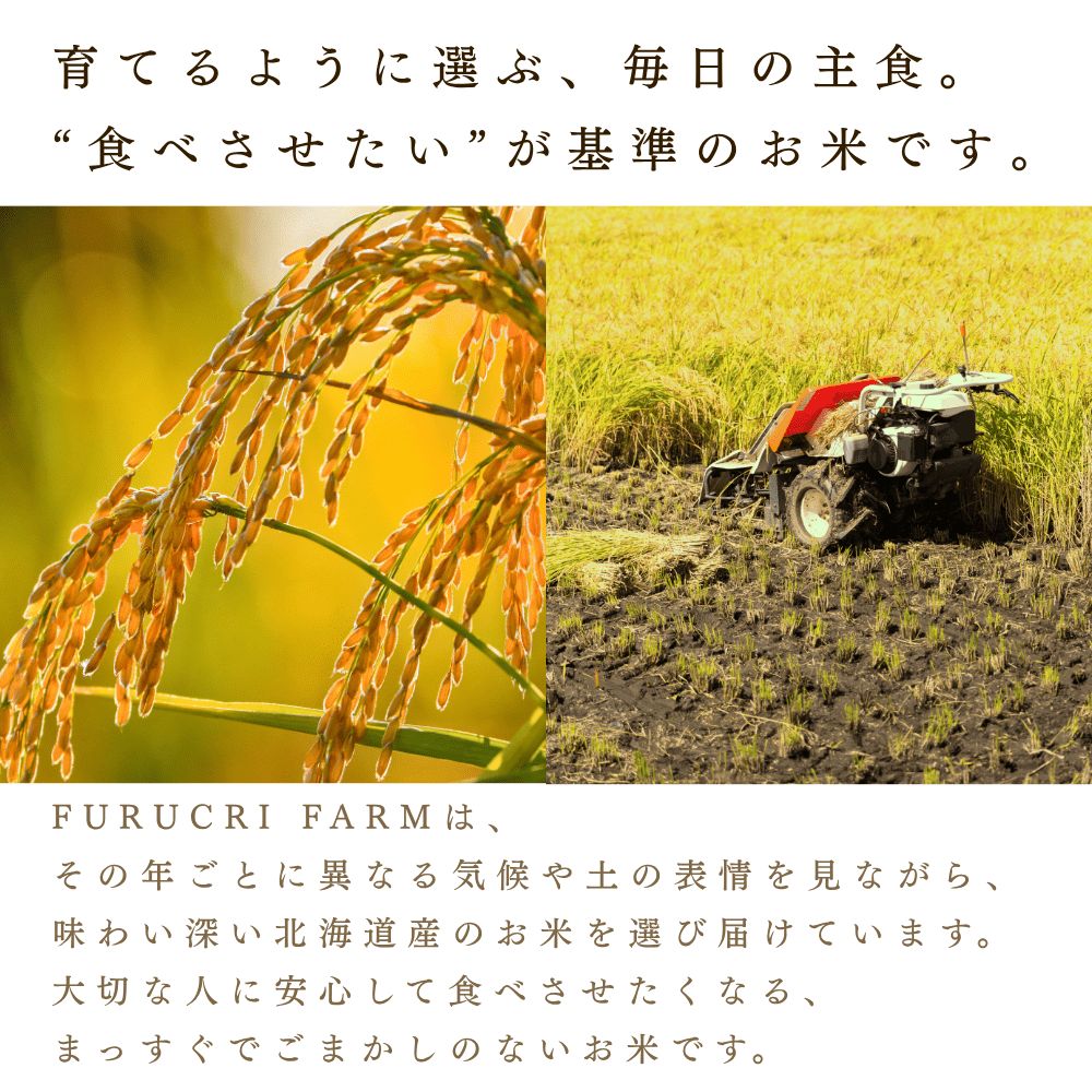 【順次発送中】◇令和7年産◇FURUCRI FARM 余市産 ゆめぴりか(玄米) 3kg_Y067-0288