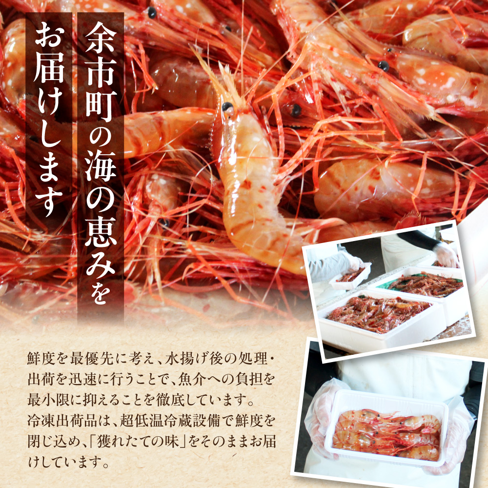 迯イ繧後◆縺ヲ縺ョ蜻ウシ∝圏豬キ驕謎ス吝クら肇 繝懊ち繝ウ繧ィ繝 900g 300gテ3繝代ャ繧ッ 蝨ー蜈貍∵クッ逶エ騾 諤・騾溯カ菴取クゥ蜀キ蜃 迯イ繧後◆縺ヲ 蛻コ霄ォ逕ィ 逕滄」溷庄 蝗ス逕」 螟ゥ辟カ 迚。荳ケ豬キ閠 繝励Μ繝励Μ鬟滓─ 蟆丞縺 豬キ縺ョ螳晉浹 譛蛾ュ 騾∵侭辟。譁兩Y022-0026