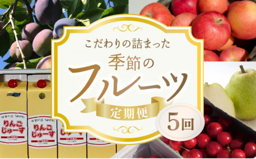 【5回定期便】東谷農園 こだわりの詰まった季節の フルーツ 定期便_Y037-0004