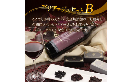 余市産完全無添加干し葡萄と余市産セレクトワインのマリアージュセット ～B～_Y050-0021
