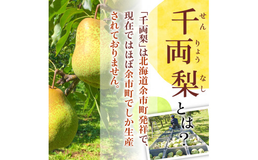 ã2026幎9æäžæ¬ä»¥éçºéãå䞡梚 10kgç®±(22çååŸ)åæµ·éç£ äœåžçºç£ ã·ã£ãã·ã£ããšãã飿ãšãµãããªãšããçã¿ãç¹åŸŽ å£ç¯éå® å䞡梚 å£ç¯ã®å³èŠ 10kg ç®± 梚 ã»ãŒäœåžçºã§ããçç£ãããŠããªã æç© ãã«ãŒã èŽãç© ã®ãã ãã«ãŒãã®ãã ãåãå¯ã åæµ·é äœåžçºç£ éæç¡æ_Y015-0035