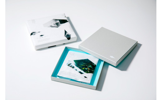 ãã¡ãŒãã»ã¿ã«ãã³ ãããã¢ãªã®ãããã¯ãŒã«ã®èã䜿ã£ãåæµ·éTEA_Y037-0336