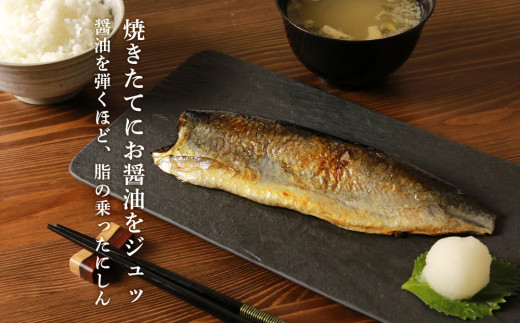 にしんがこんなに美味い魚だったなんて・・・食わずに死ねるか「銀とろにしん」_Y004-0031