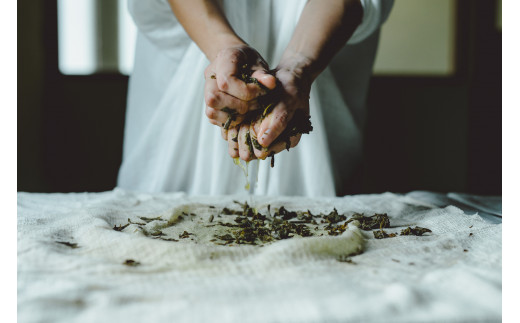 ãã¡ãŒãã»ã¿ã«ãã³ ãããã¢ãªã®ãããã¯ãŒã«ã®èã䜿ã£ãåæµ·éTEA_Y037-0336