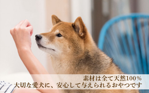 愛犬用★無添加おやつ★エゾ鹿干し肉12個入り 計360g≪REAL DOG FOOD≫_Y020-0566