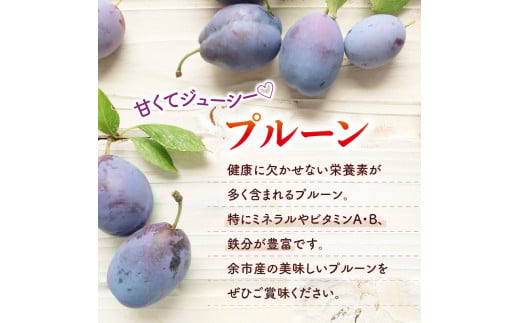 【2026年9月上旬発送分先行予約】プルーン 400g×4パック甘くてジューシー 余市産 生プルーン 国産 老化防止 鉄分 スムージー ジャム 冷蔵 小分け パック フルーツ 果物 季節限定 お取り寄せ 北海道 余市町 _Y010-0526