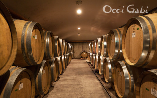 【OcciGabi Winery】オチガビ・シャルドネ黒ラベル 【余市のワイン】 余市 北海道 白ワイン シャルドネワイン 人気ワイン 余市のワイン 北海道のワイン 日本のワイン 国産ワイン おすすめワイン お酒 _Y012-0095