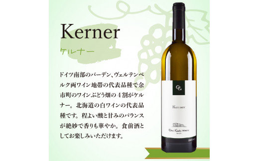 【2024年3月以降発送】【OcciGabi Winery】ケルナー_Y012-0103