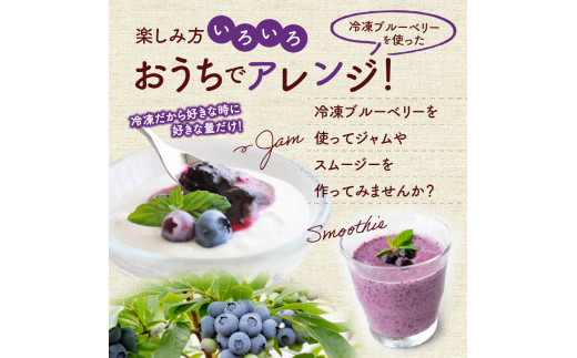 çã! ãžã¥ãŒã·ãŒ! äœåžçºç£å·åãã«ãŒããªãŒ 250gÃ4ããã¯ åæµ·éç£ãã«ãŒããªãŒ äœåžç£ãã«ãŒããªãŒ ãã«ãŒããªãŒ 1kg ãã«ãŒã å·åãã«ãŒã æç©_Y010-0344