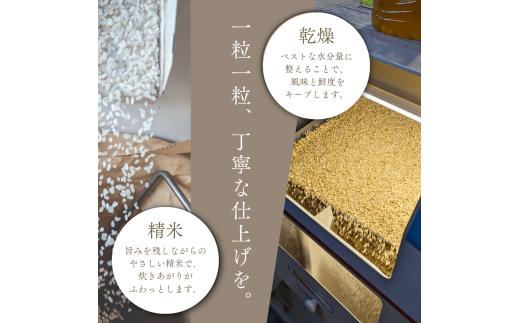 縲仙ョ壽悄萓ソ蜈ィ12蝗槭代宣谺。逋コ騾∽クュ縲鯛裸莉、蜥7蟷エ逕」笳FURUCRI FARM 菴吝クら肇 迚ケ驕ク繝悶Ξ繝ウ繝臥アウ(邊セ邀ウ) 5kgテ12蝗枩Y067-0350