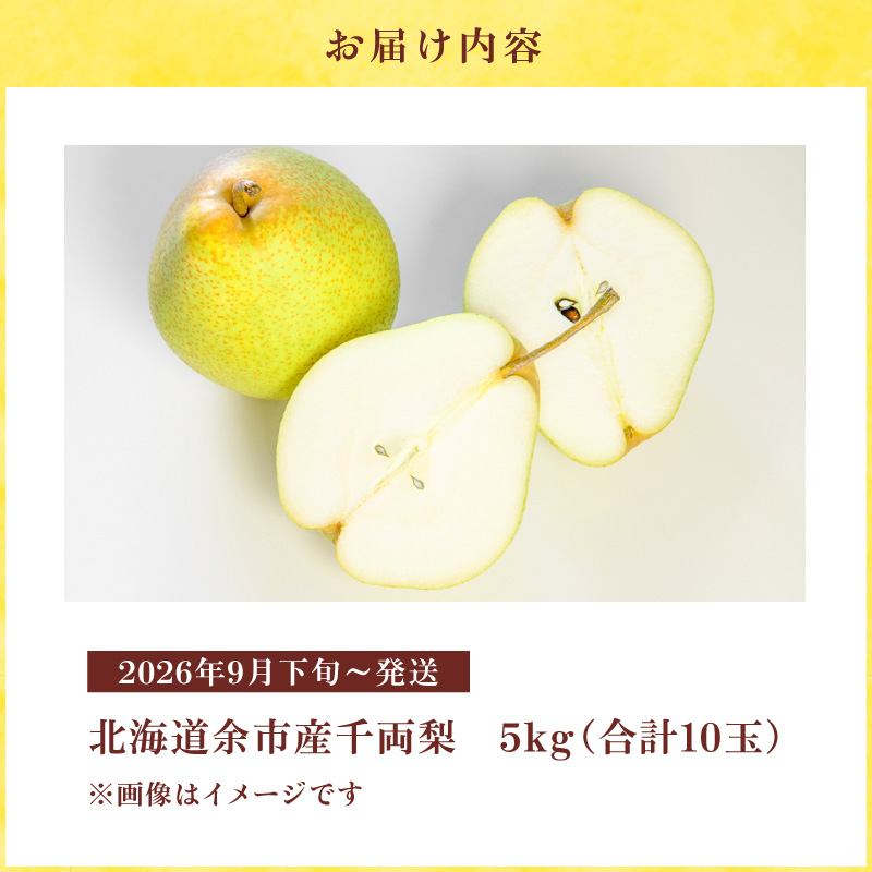 ã2026幎9æäžæ¬ä»¥éçºéãå䞡梚 5kgç®±(10ç)åæµ·éç£ äœåžçºç£ãã·ã£ãã·ã£ããšãã飿ãšãµãããªãšããçã¿ãç¹åŸŽ å£ç¯éå® å䞡梚 å£ç¯ã®å³èŠ 5kg ç®± 梚 ã»ãŒäœåžçºã§ããçç£ãããŠããªã æç© ãã«ãŒã èŽãç© ã®ãã ãã«ãŒãã®ãã ãåãå¯ã åæµ·é äœåžçºç£ éæç¡æ_Y015-0036