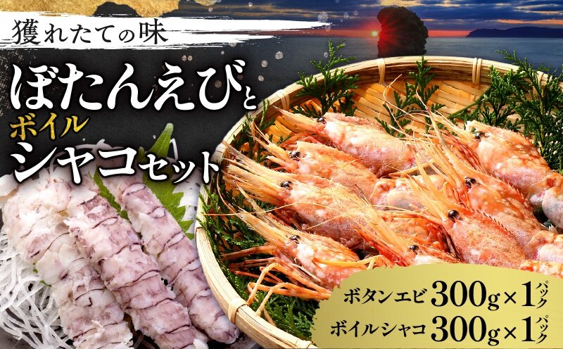 【獲れたての味！】ボタンエビ３００ｇ×１パック・ボイルシャコ３００ｇ×１パック　セット品_Y022-0021