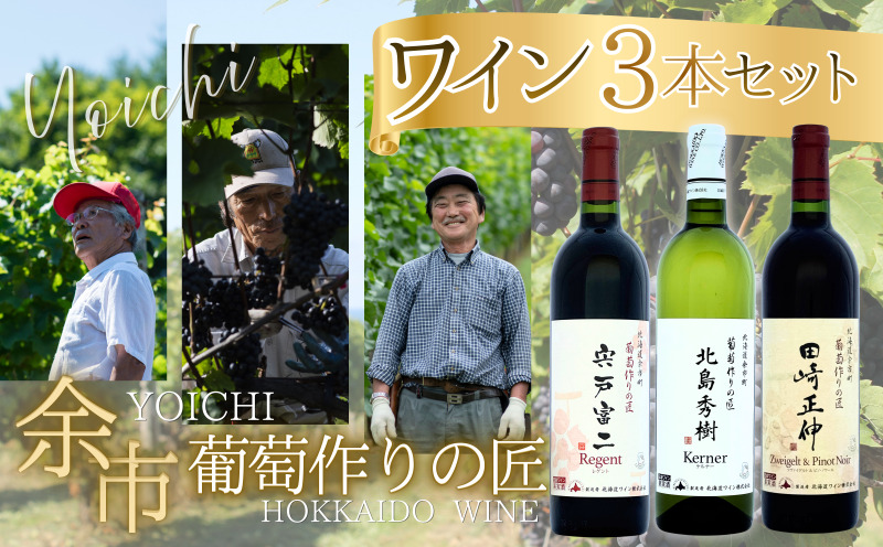 余市「葡萄作りの匠」ワイン 3本 セット 赤ワイン 白ワイン 辛口 ミディアム 田崎正伸 北島秀樹  宍戸富二  アルコール ギフト プレゼント 誕生日 手土産 父の日 敬老の日 家飲み 家族 国産お取り寄せ 北海道 余市町_Y034-0090