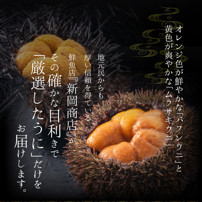 【2026年夏発送】塩水ウニ【ムラサキウニ】 100g×2パック 計200g 北海道余市町産塩水ウニ発祥の地 高級ウニ 高級雲丹 ムラサキウニ 白うに 目利き 北海道産ウニ 余市産ウニ 雲丹 うに 塩水うに_Y037-0344