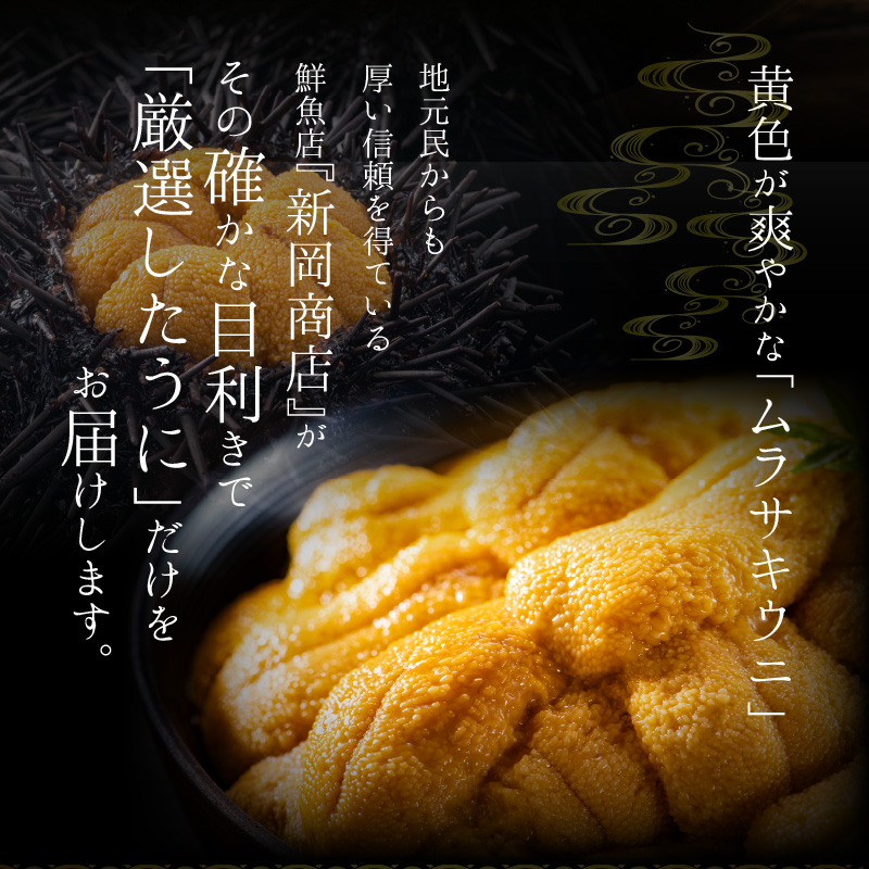 【2026年夏発送】塩水ウニ【ムラサキウニ】 100g×2パック 計200g 北海道余市町産塩水ウニ発祥の地 高級ウニ 高級雲丹 ムラサキウニ 白うに 目利き 北海道産ウニ 余市産ウニ 雲丹 うに 塩水うに_Y037-0344