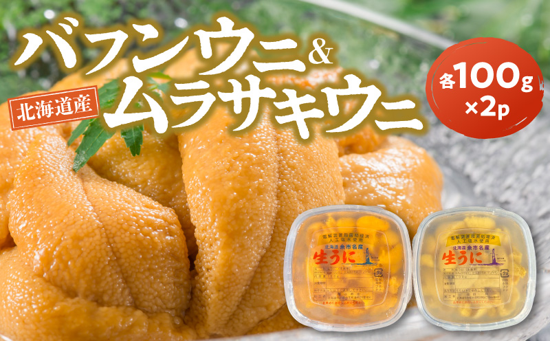 【2027年夏発送】塩水ウニ【バフンウニ＆ムラサキウニ】各100g×2パック 北海道余市町産 塩水ウニ発祥の地 高級ウニ 高級雲丹 ムラサキウニ 白ウニ バフンウニ 赤うに 目利き 北海道産ウニ 余市産ウニ 雲丹 うに 塩水うに _Y037-0359
