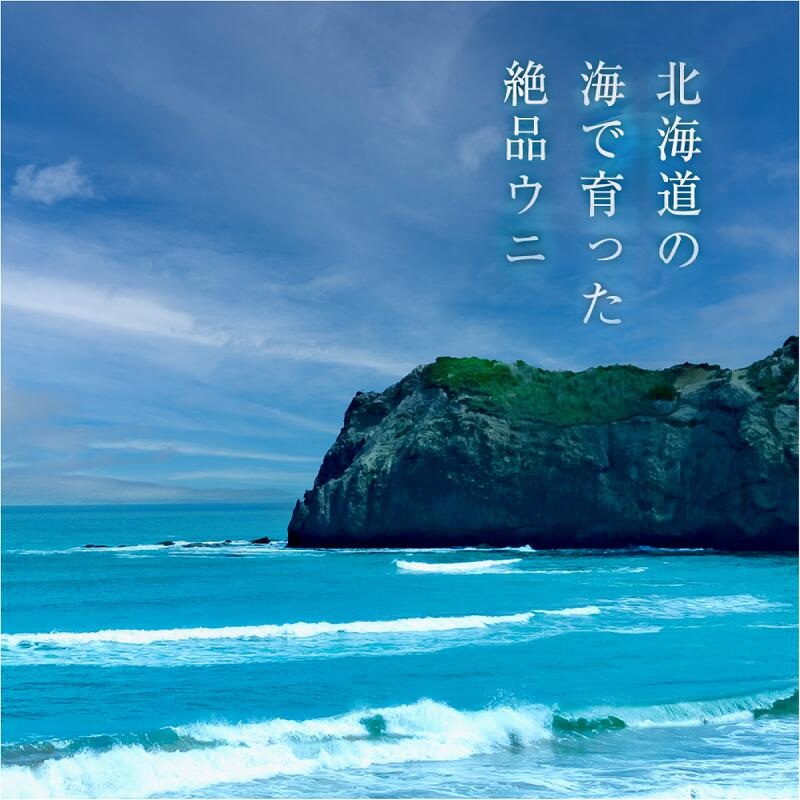 ≪贈り物≫ 福雲丹80g×2(バフン 北海道産)_ウニ うに 雲丹 熟成製法 冷凍可能 2パック バフンウニ 赤ウニ 余市町 北海道 魚介類 目利き 世壱屋 ギフト 包装_Y038-0135