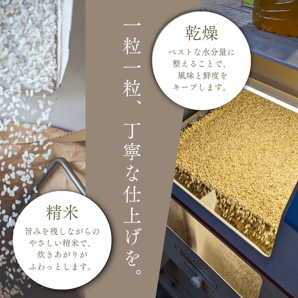 縲仙ョ壽悄萓ソ蜈ィ12蝗槭代宣谺。逋コ騾∽クュ縲鯛裸莉、蜥7蟷エ逕」笳FURUCRI FARM 菴吝クら肇 繧繧√エ繧翫°(邊セ邀ウ) 5kgテ12蝗枩Y067-0280