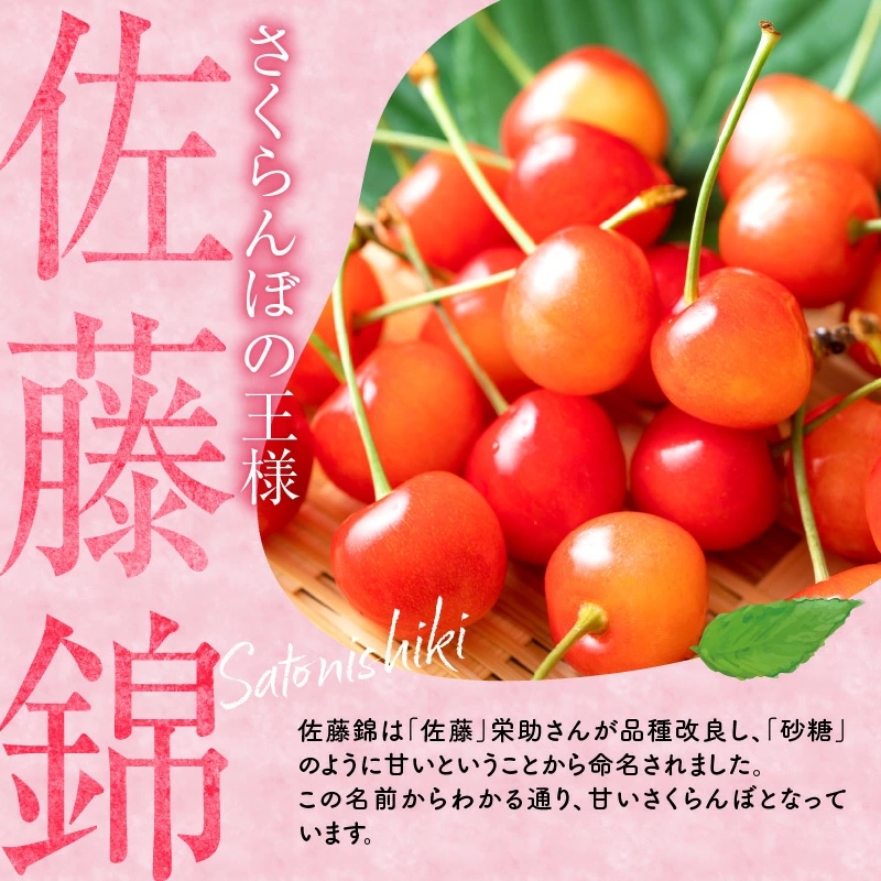 さくらんぼの王様 佐藤錦 200g×4パック 合計800g(L~2L) 【2025年発送先行予約】フルーツ王国 さくらんぼ サクランボ 桜桃 佐藤錦 余市産さくらんぼ 小分けさくらんぼ 果物 人気さくらんぼ ニトリ 北海道 余市町 _Y074-0111