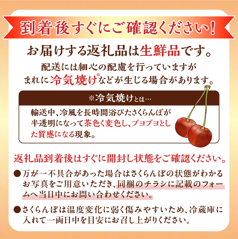 ã2026å¹Žç£ å
è¡äºçŽãïŒåæµ·éäœåžç£ïŒãããããŒãçŽ
ãŠãŸããïŒMïœ2Lãµã€ãºãã©è©°ãïŒ500ïœÃ2ããã¯_Y103-0057