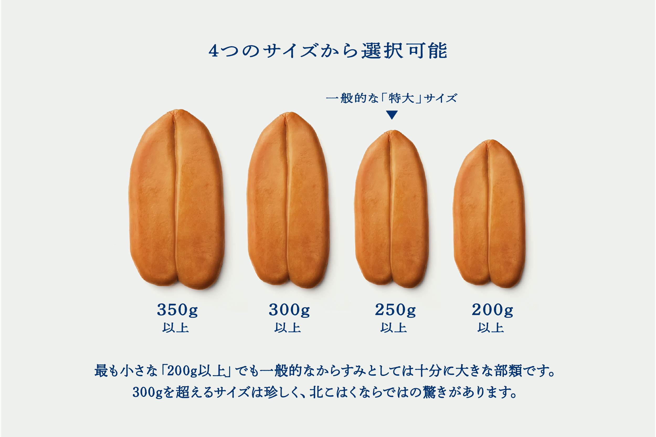 åœç£æ¬ãããã¿ åãã¯ã äž¡è
¹250gä»¥äž äœåžãŠã€ã¹ããŒä»äžã åœç£ ç¡æ·»å åæµ·é äœåž ãã€ãŸã¿ é«çŽ ã®ãã ãã¬ãŒã³ã ã«ã©ã¹ã å墚 ããã¿ã«ã¬ éåµ èŽ çå³ æ¥æ¬é
ãŠã€ã¹ã㌠ãã¹ã¿ ãäžå
ãæ³æ® æ£æ ç£å°çŽé ãåãå¯ã_ Y122-0024