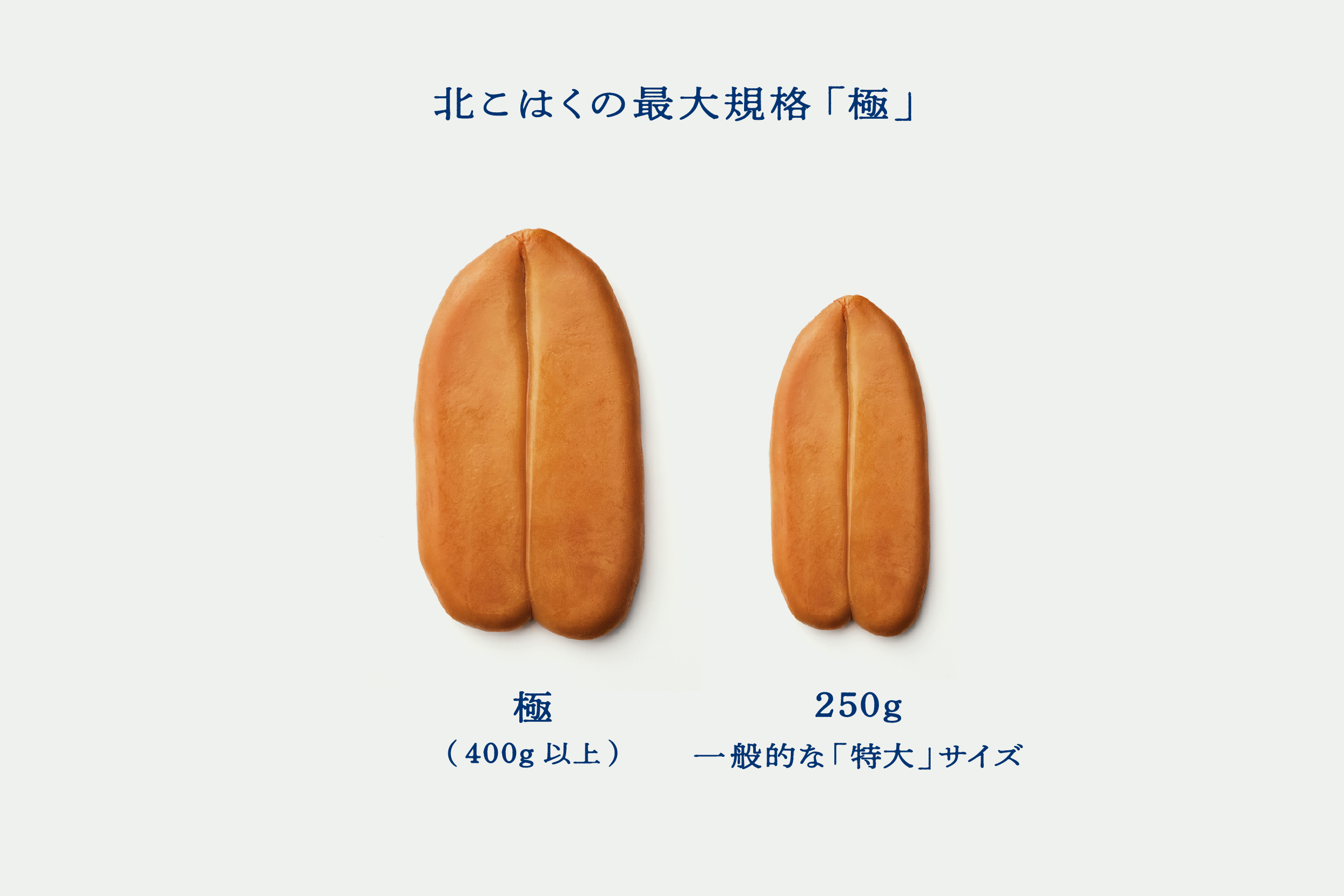 国産本からすみ 北こはく 極400g以上 余市ウイスキー仕上げ 国産 無添加 北海道 余市 おつまみ 高級 ギフト プレゼント カラスミ 唐墨 ボッタルガ 魚卵 肴 珍味 日本酒 ウイスキー パスタ お中元 お歳暮 正月 産地直送 お取り寄せ_ Y122-0030