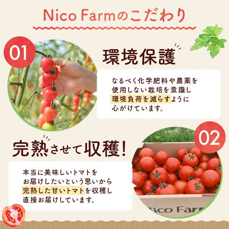 NicoFarm トマトジュース 1L 2本セット_Y124-0001